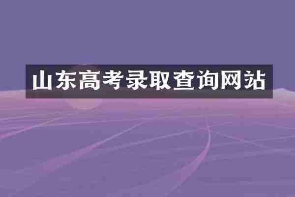 山东高考录取查询网站