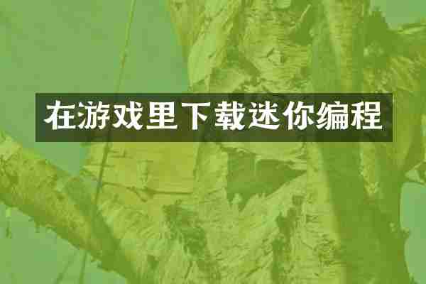 在游戏里下载迷你编程