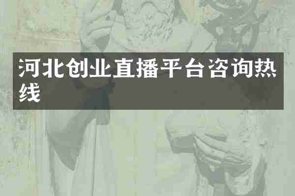 河北创业直播平台咨询热线