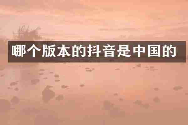 哪个版本的抖音是中国的