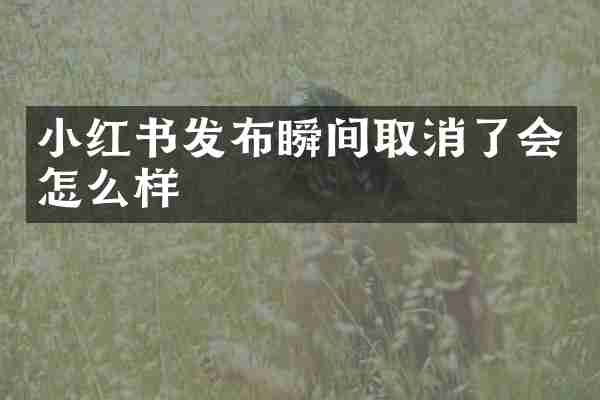 小红书发布瞬间取消了会怎么样