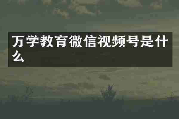 万学教育微信视频号是什么