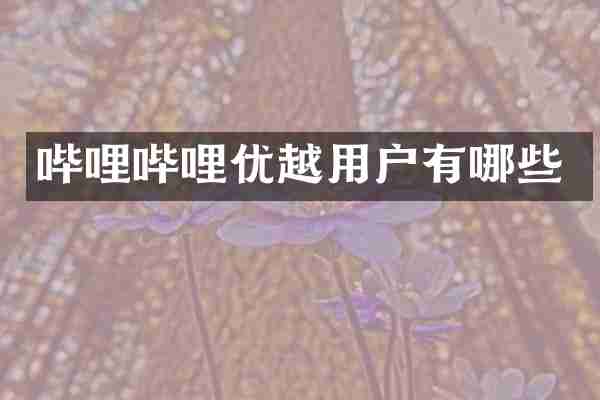 哔哩哔哩优越用户有哪些