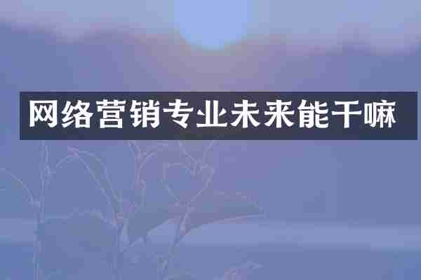 网络营销专业未来能干嘛