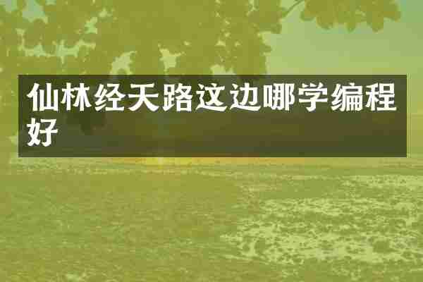仙林经天路这边哪学编程好