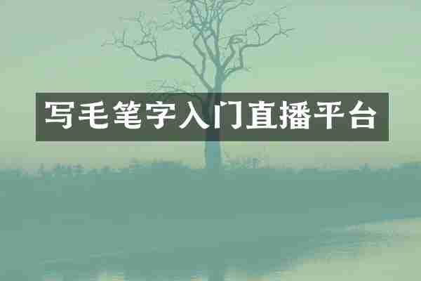 写毛笔字入门直播平台