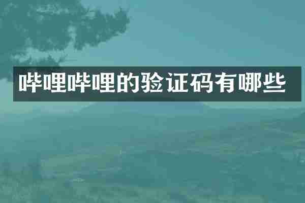 哔哩哔哩的验证码有哪些