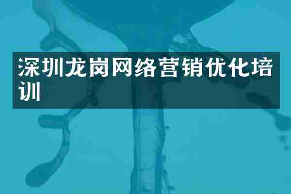 深圳龙岗网络营销优化培训