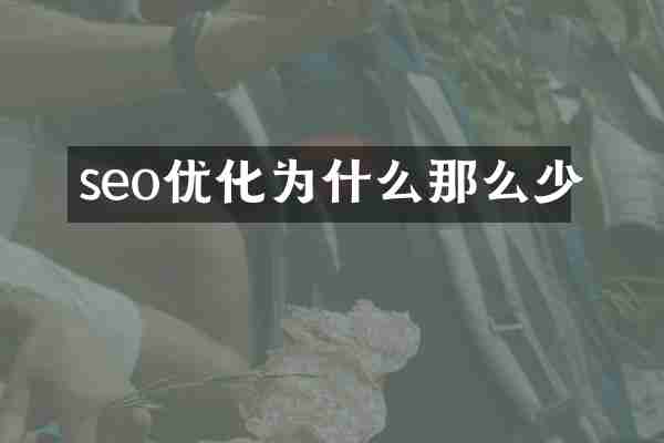 seo优化为什么那么少
