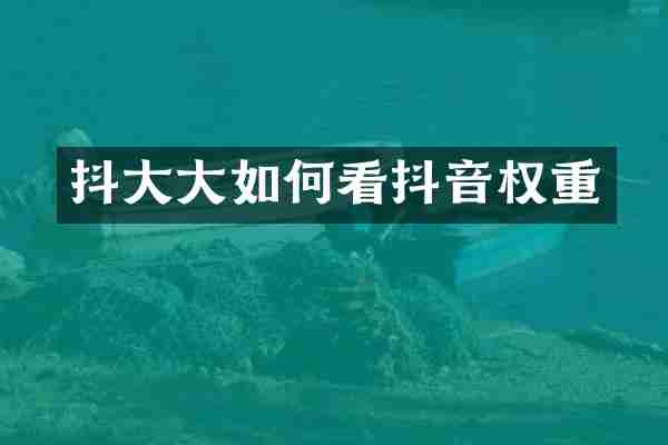 抖大大如何看抖音权重