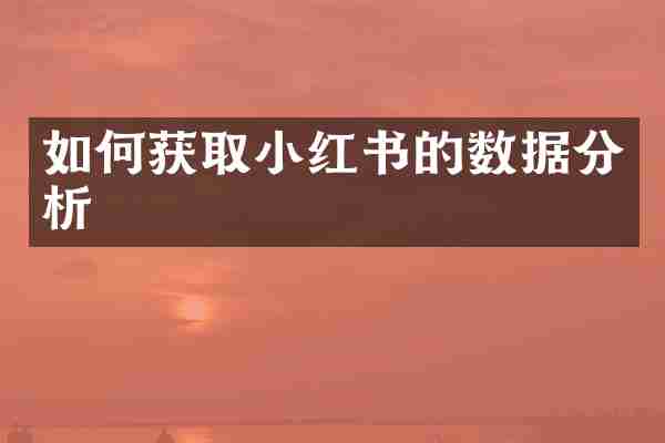 如何获取小红书的数据分析