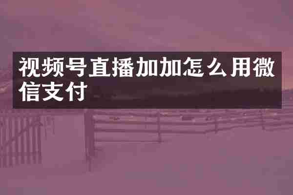 视频号直播加加怎么用微信支付