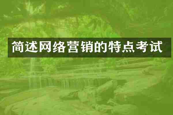 简述网络营销的特点考试