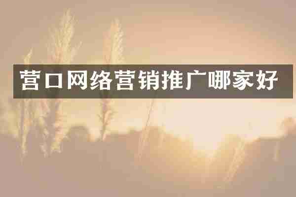 营口网络营销推广哪家好