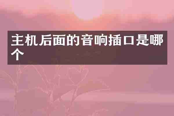 主机后面的音响插口是哪个