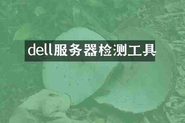 dell服务器检测工具