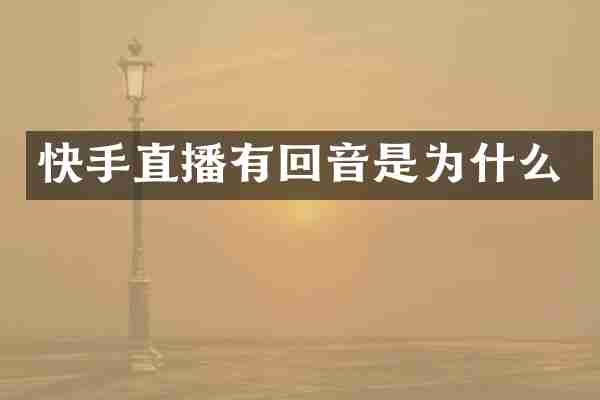 快手直播有回音是为什么