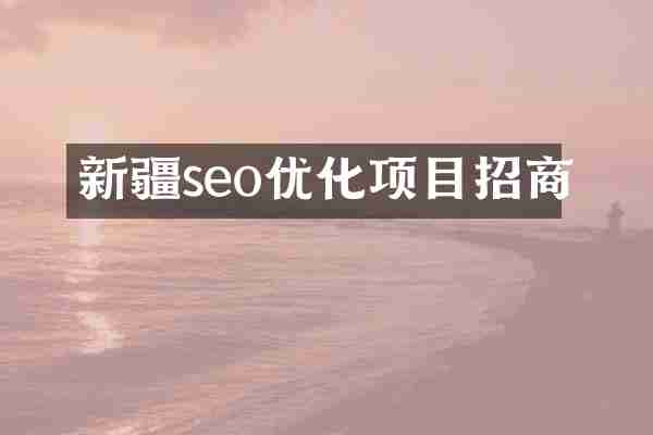 新疆seo优化项目招商