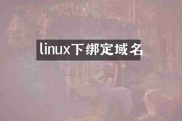 linux下绑定域名