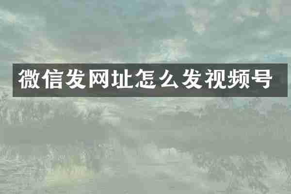 微信发网址怎么发视频号