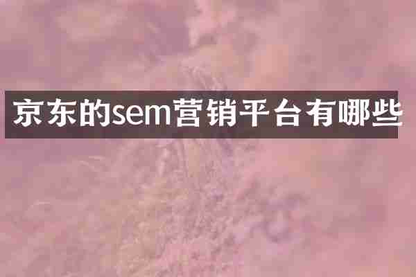 京东的sem营销平台有哪些