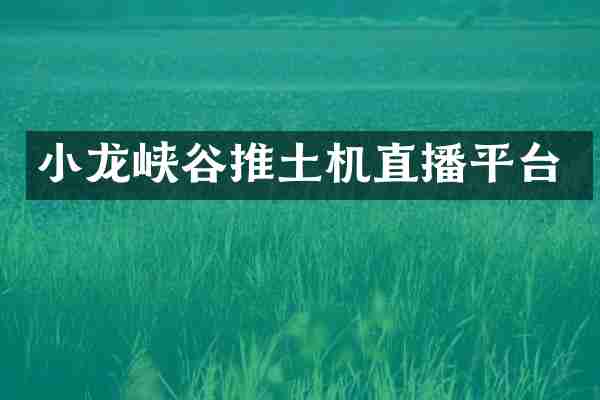 小龙峡谷推土机直播平台