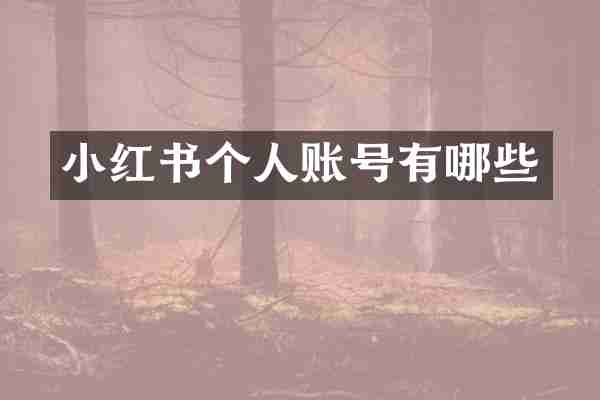 小红书个人账号有哪些