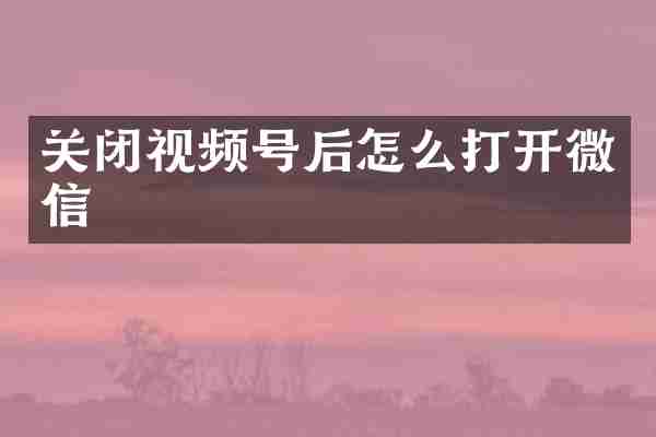 关闭视频号后怎么打开微信