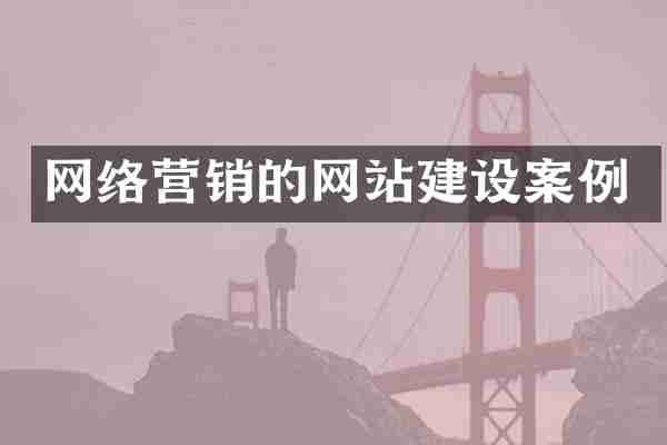 网络营销的网站建设案例