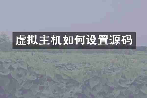 虚拟主机如何设置源码