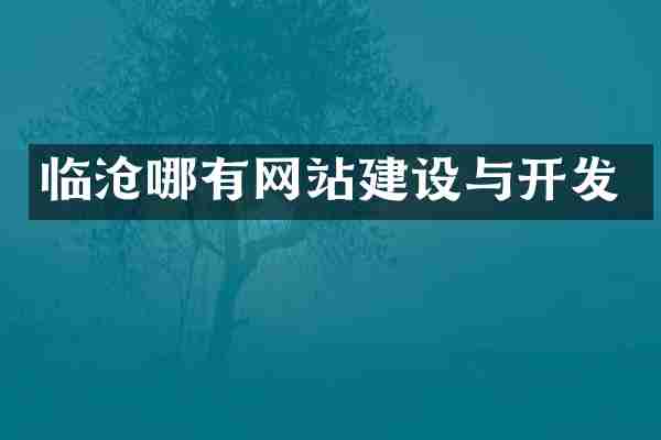 临沧哪有网站建设与开发
