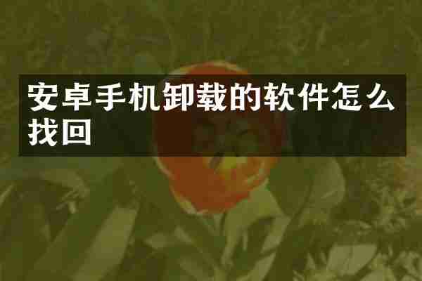 安卓手机卸载的软件怎么找回