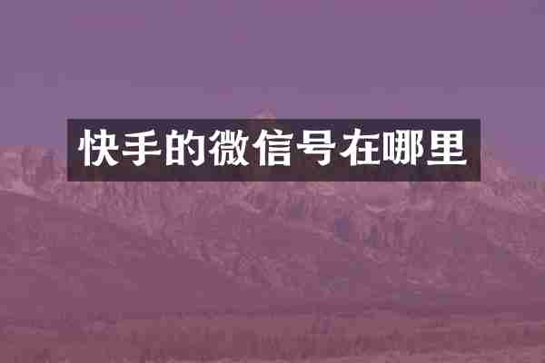 快手的微信号在哪里