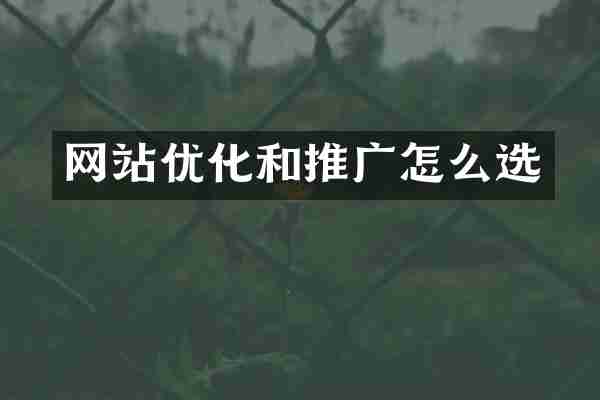 网站优化和推广怎么选