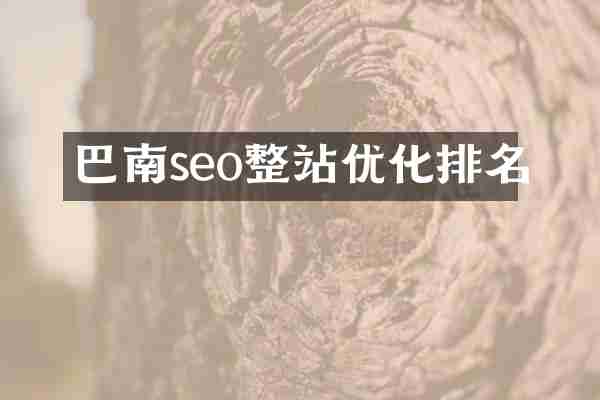 巴南seo整站优化排名