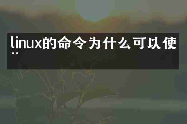 linux的命令为什么可以使用
