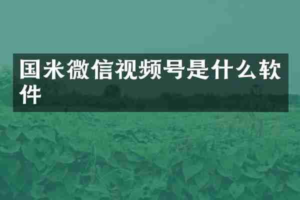 国米微信视频号是什么软件