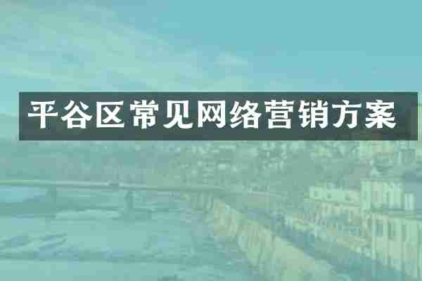 平谷区常见网络营销方案