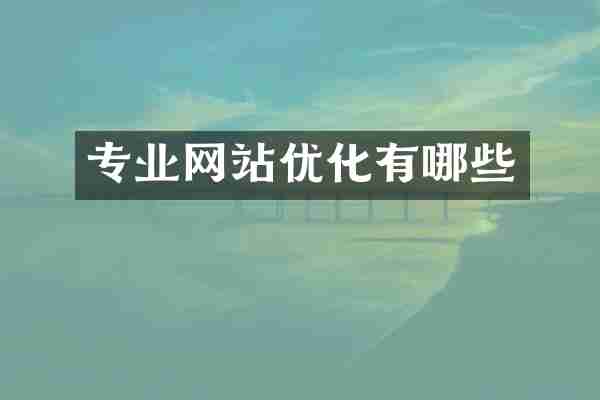 专业网站优化有哪些