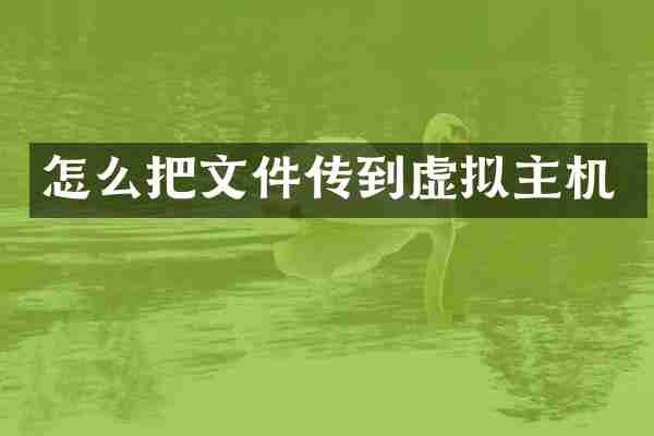 怎么把文件传到虚拟主机