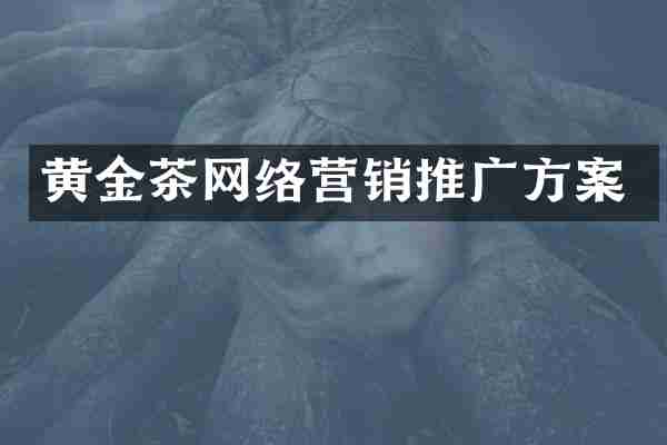 黄金茶网络营销推广方案