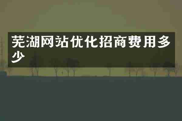 芜湖网站优化招商费用多少
