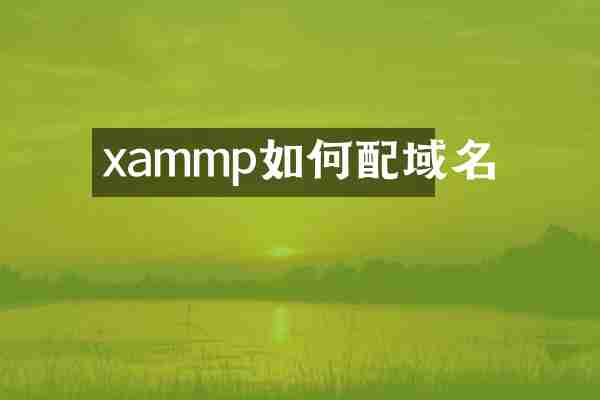 xammp如何配域名