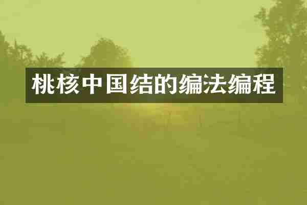 桃核中国结的编法编程