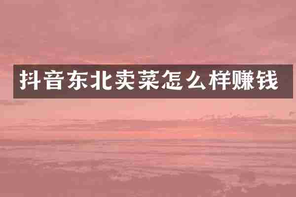 抖音东北卖菜怎么样赚钱