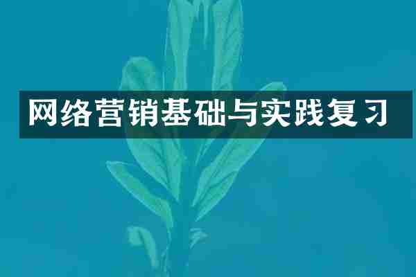 网络营销基础与实践复习