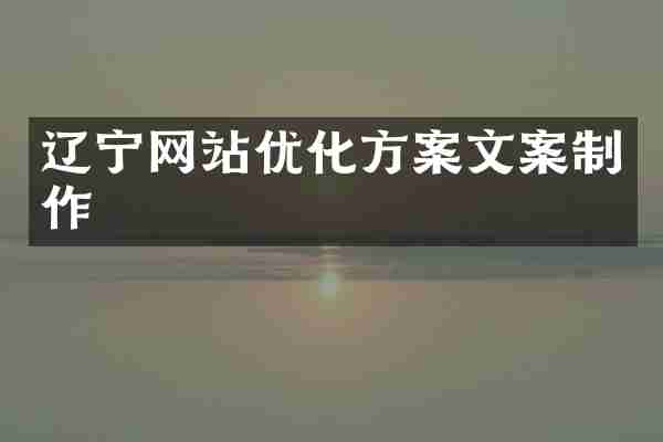 辽宁网站优化方案文案制作