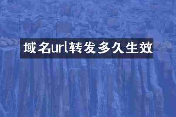 域名url转发多久生效
