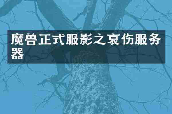 魔兽正式服影之哀伤服务器