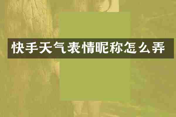 快手天气表情昵称怎么弄